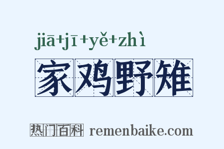 家鸡野雉是什么意思的图片